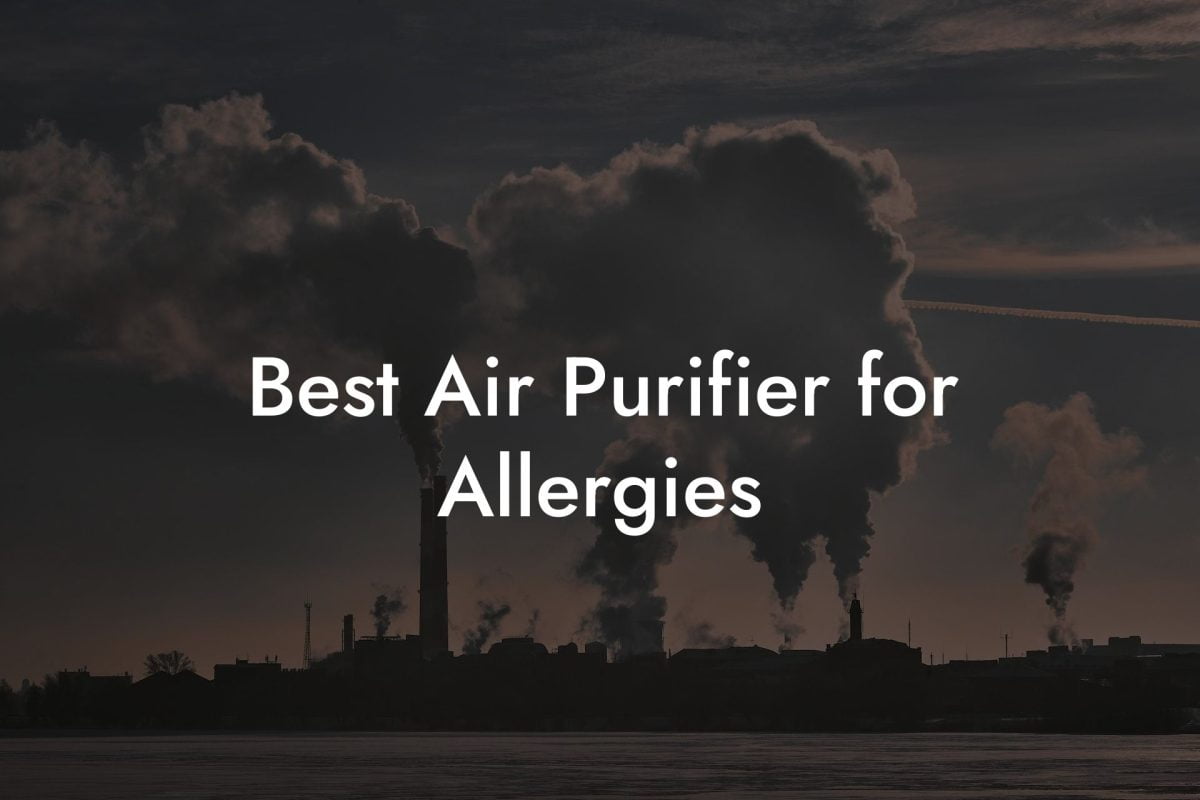 Best Air Purifier for Allergies