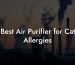 Best Air Purifier for Cat Allergies