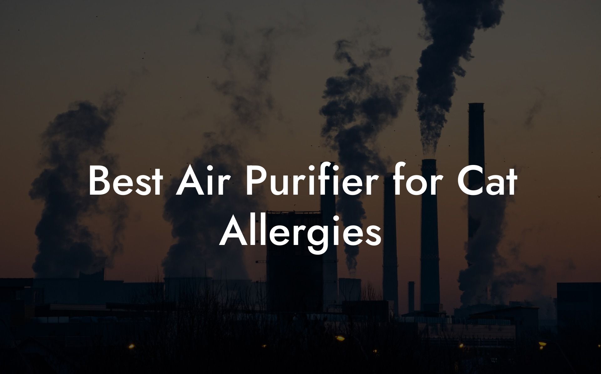 Best Air Purifier for Cat Allergies