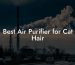 Best Air Purifier for Cat Hair