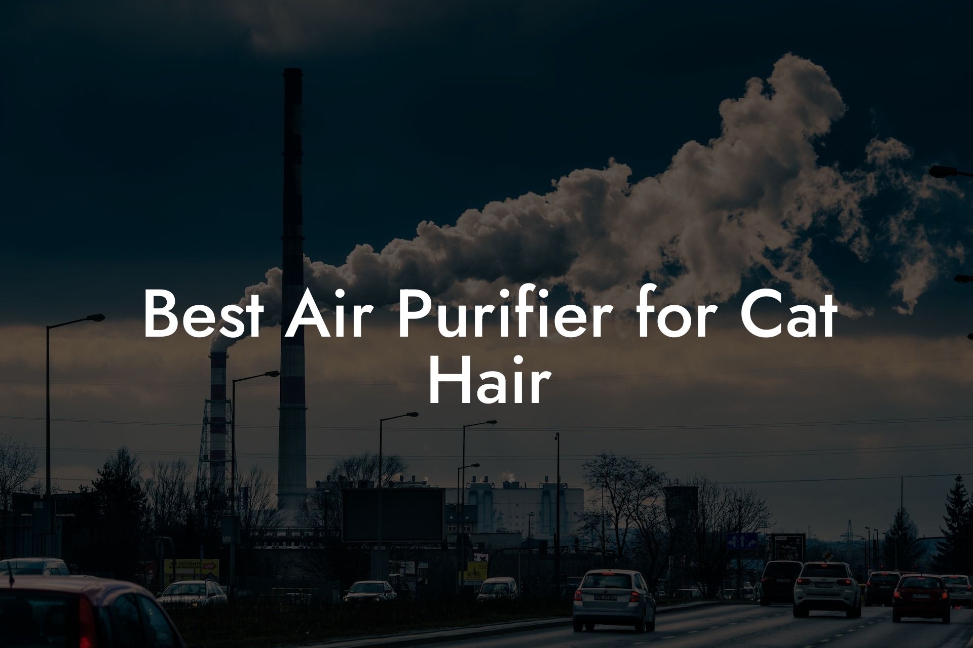 Best Air Purifier for Cat Hair