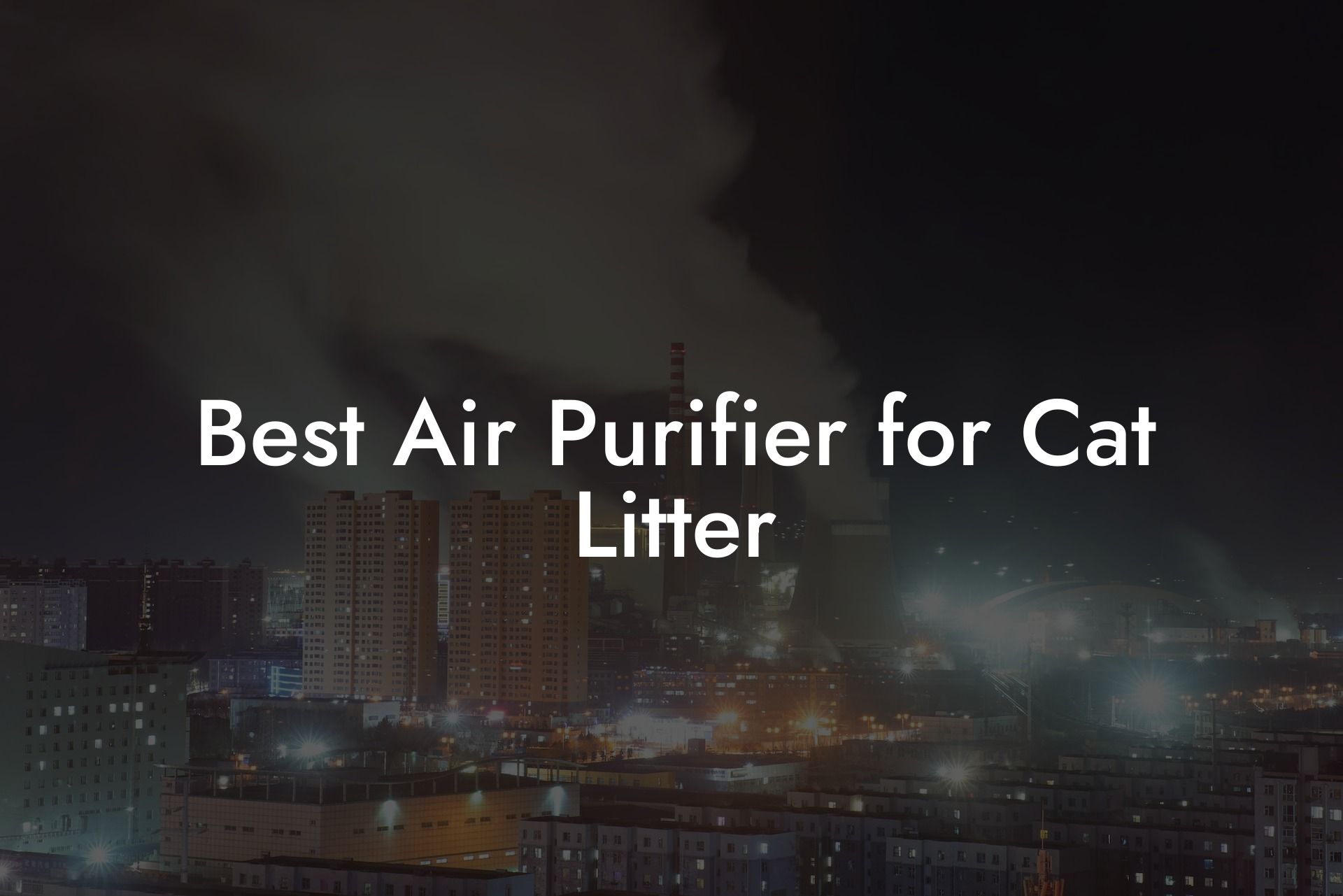 Best Air Purifier for Cat Litter