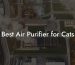 Best Air Purifier for Cats