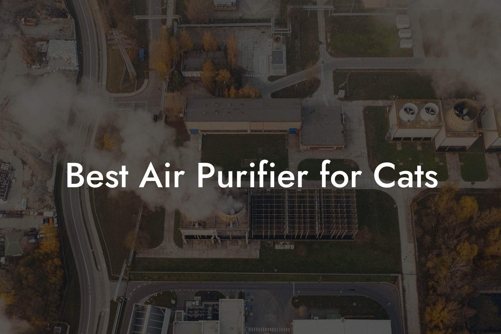 Best Air Purifier for Cats