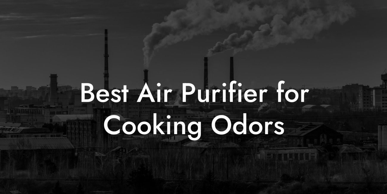 Best Air Purifier for Cooking Odors