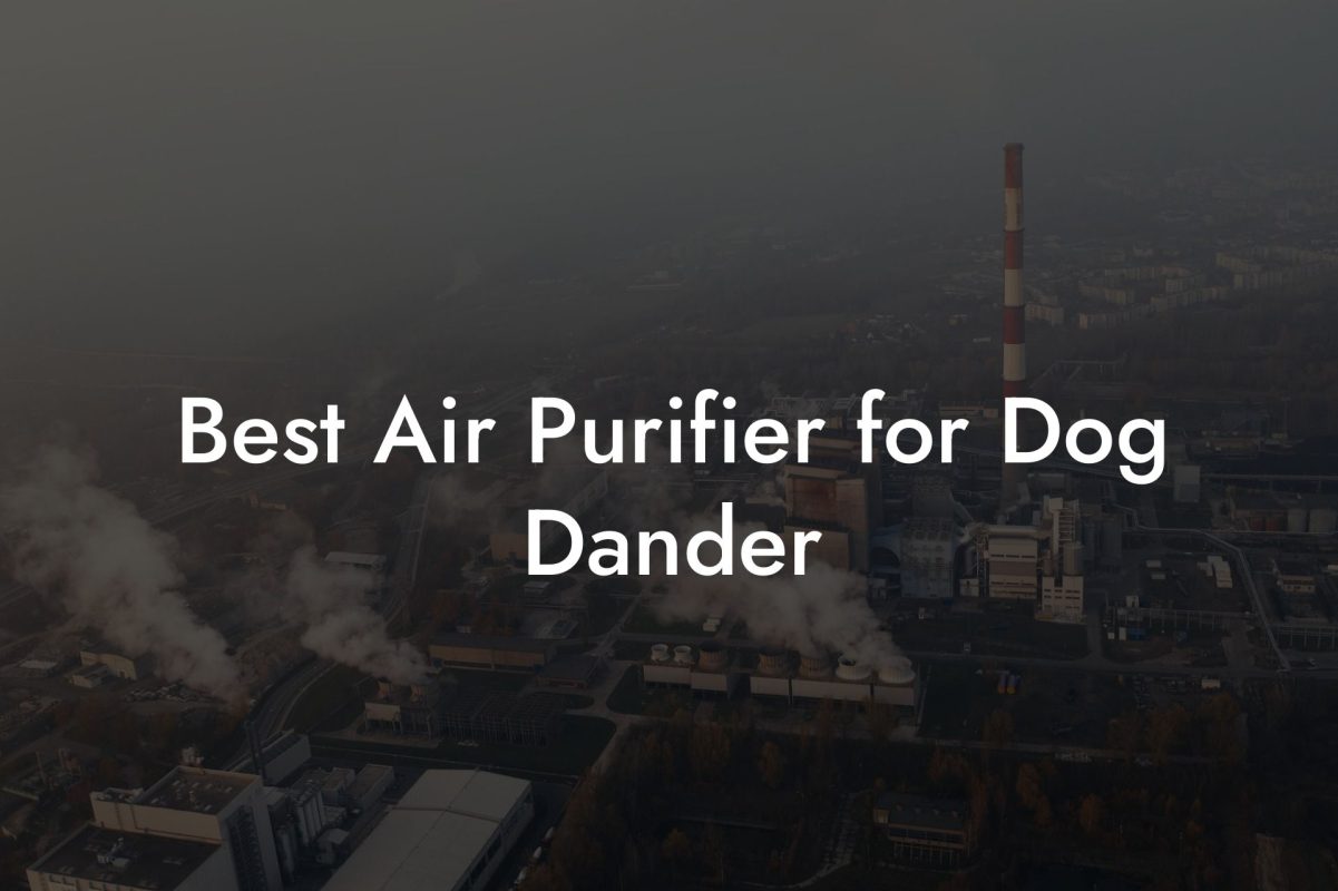 Best Air Purifier for Dog Dander