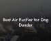 Best Air Purifier for Dog Dander