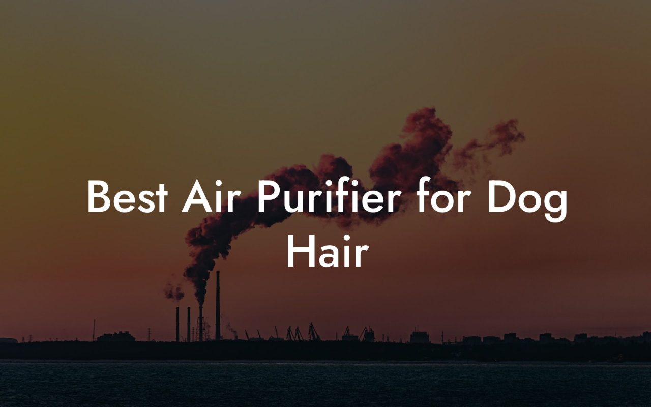 Best Air Purifier for Dog Hair