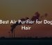 Best Air Purifier for Dog Hair