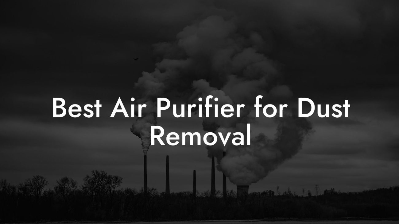 Best Air Purifier for Dust Removal