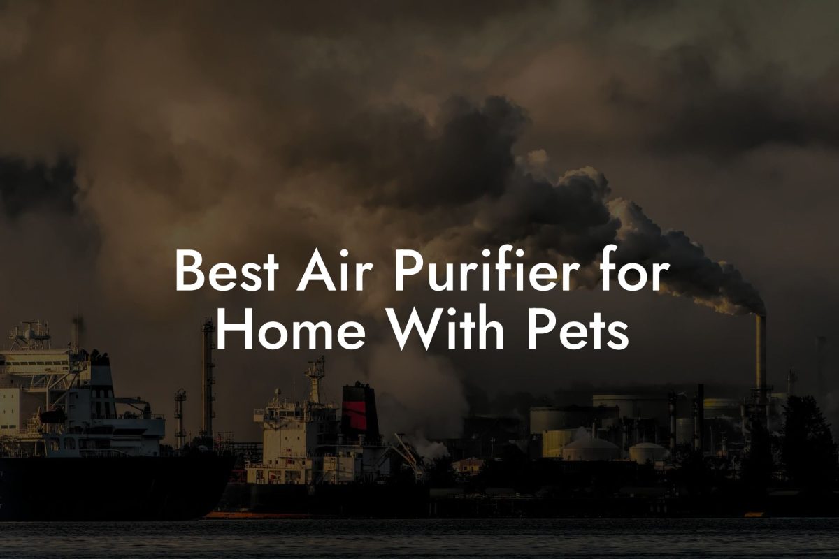 Best Air Purifier for Home With Pets