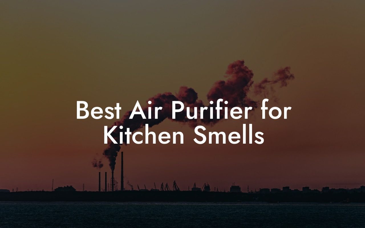 Best Air Purifier for Kitchen Smells