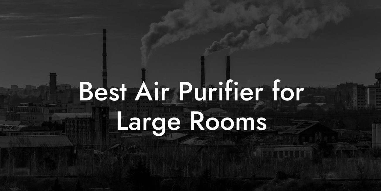 Best Air Purifier for Large Rooms