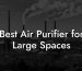 Best Air Purifier for Large Spaces