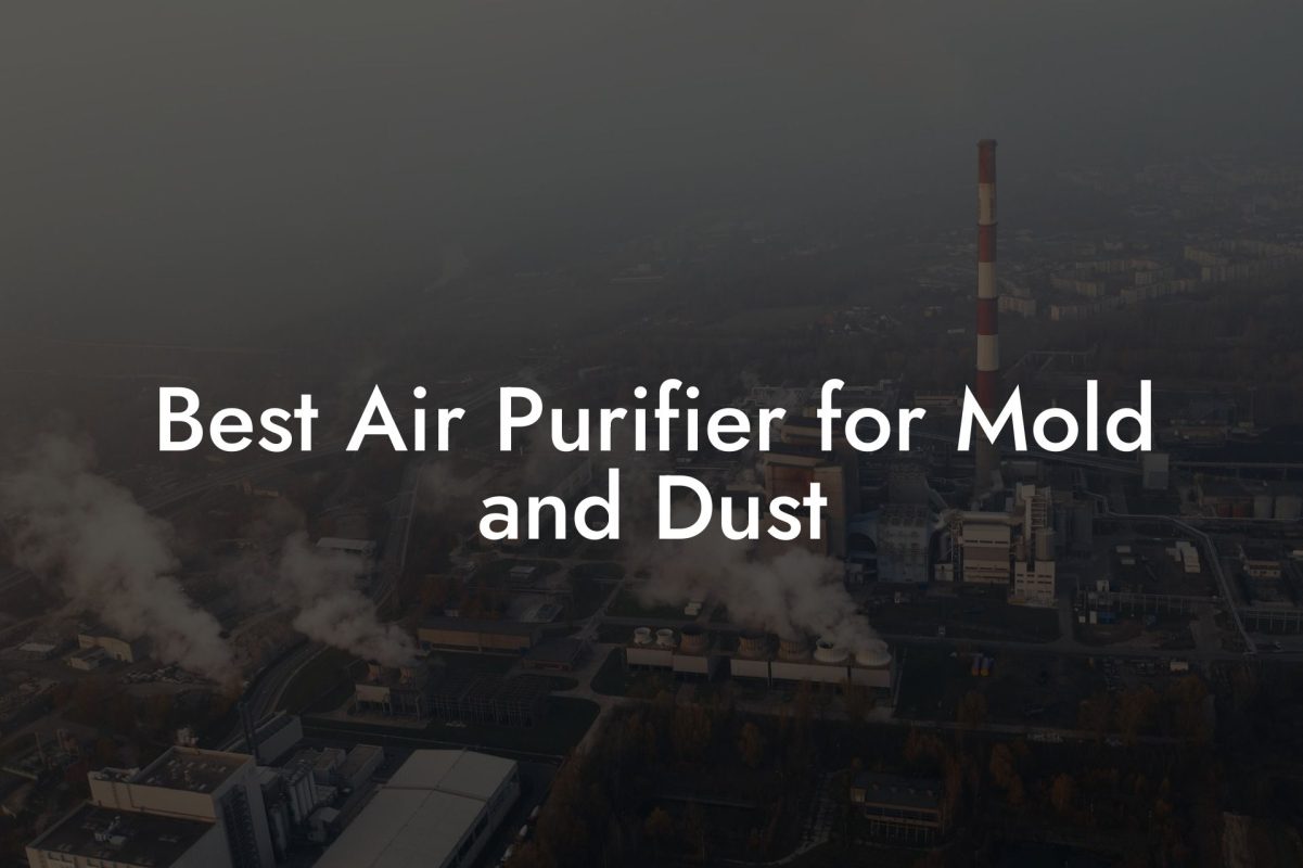 Best Air Purifier for Mold and Dust