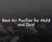 Best Air Purifier for Mold and Dust