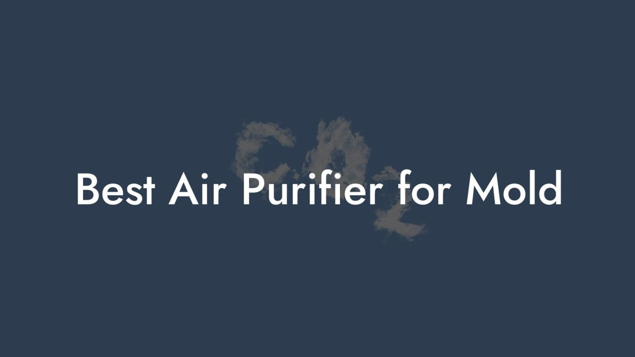 Best Air Purifier for Mold