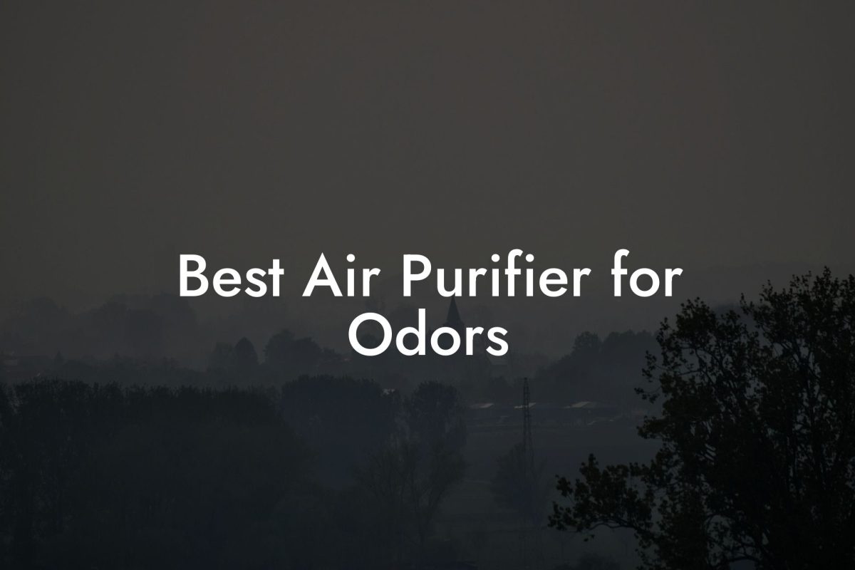 Best Air Purifier for Odors