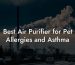 Best Air Purifier for Pet Allergies and Asthma