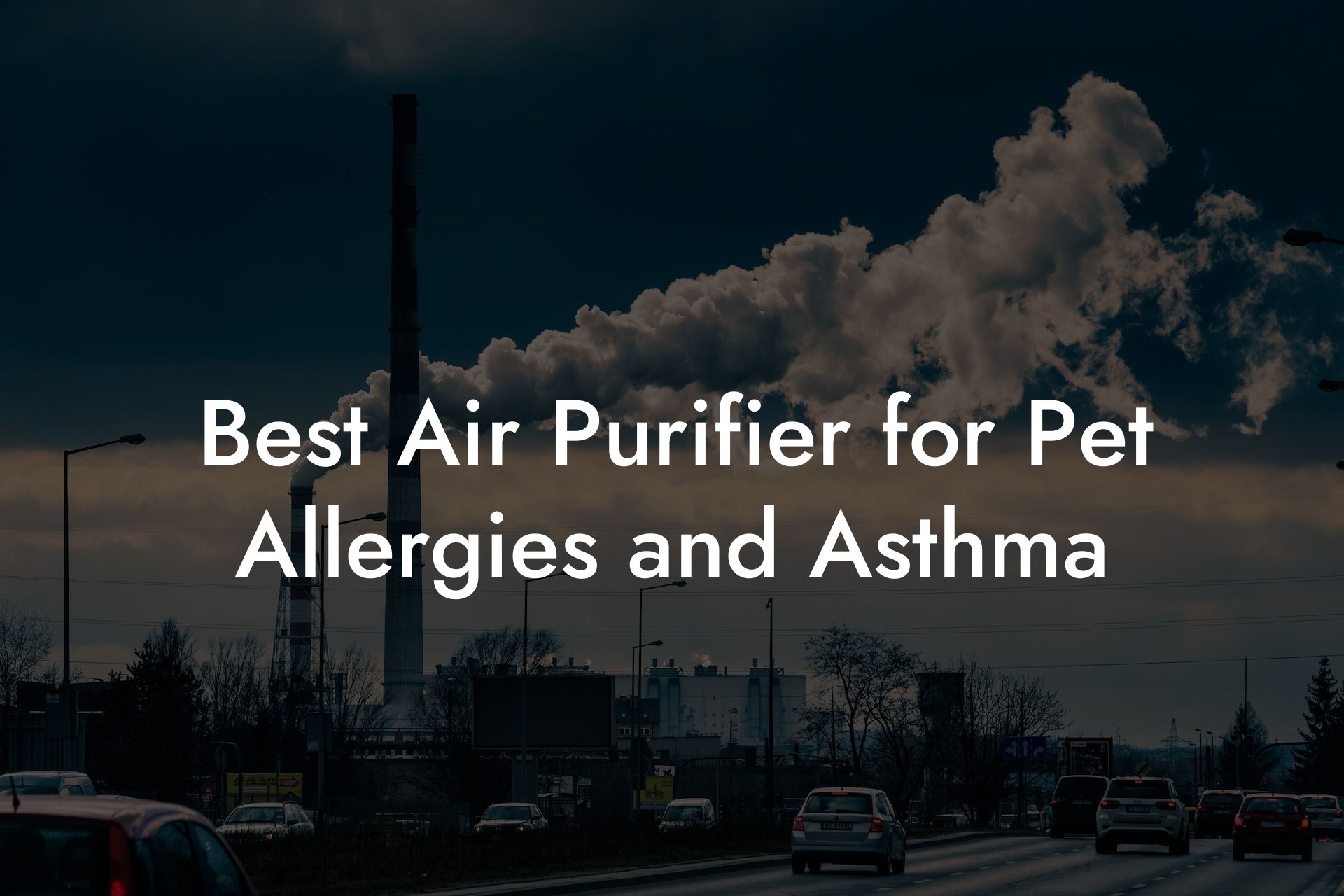 Best Air Purifier for Pet Allergies and Asthma