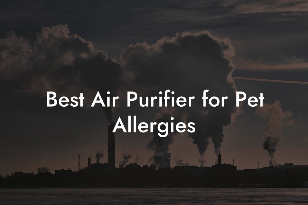 Best Air Purifier for Pet Allergies