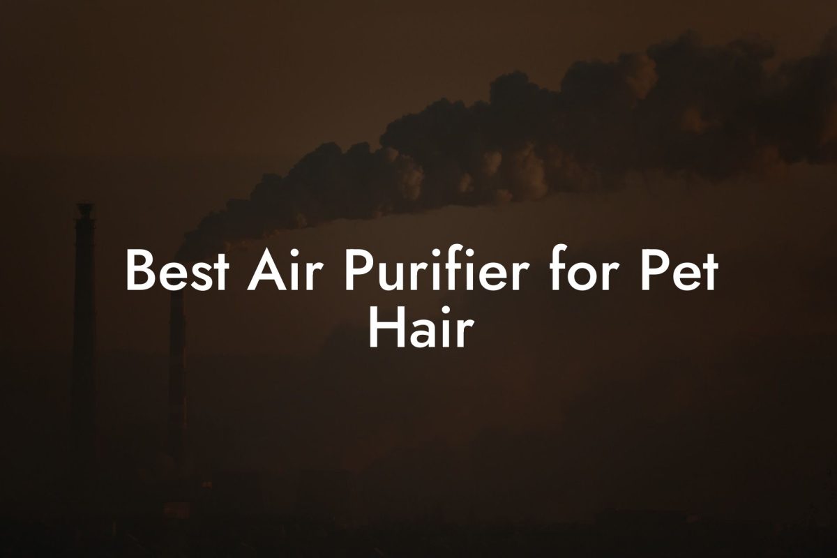 Best Air Purifier for Pet Hair