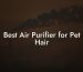 Best Air Purifier for Pet Hair