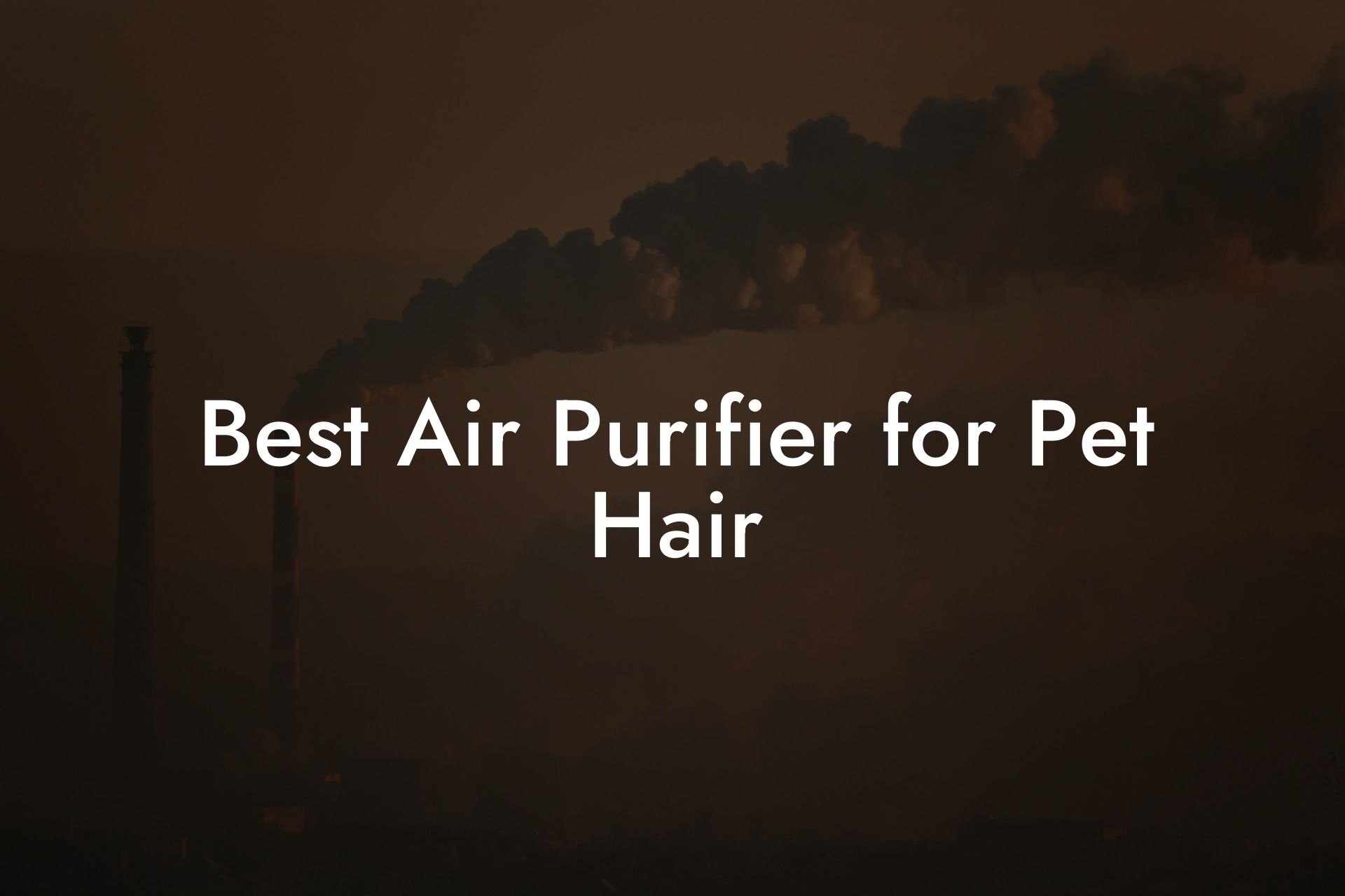 Best Air Purifier for Pet Hair