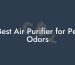 Best Air Purifier for Pet Odors