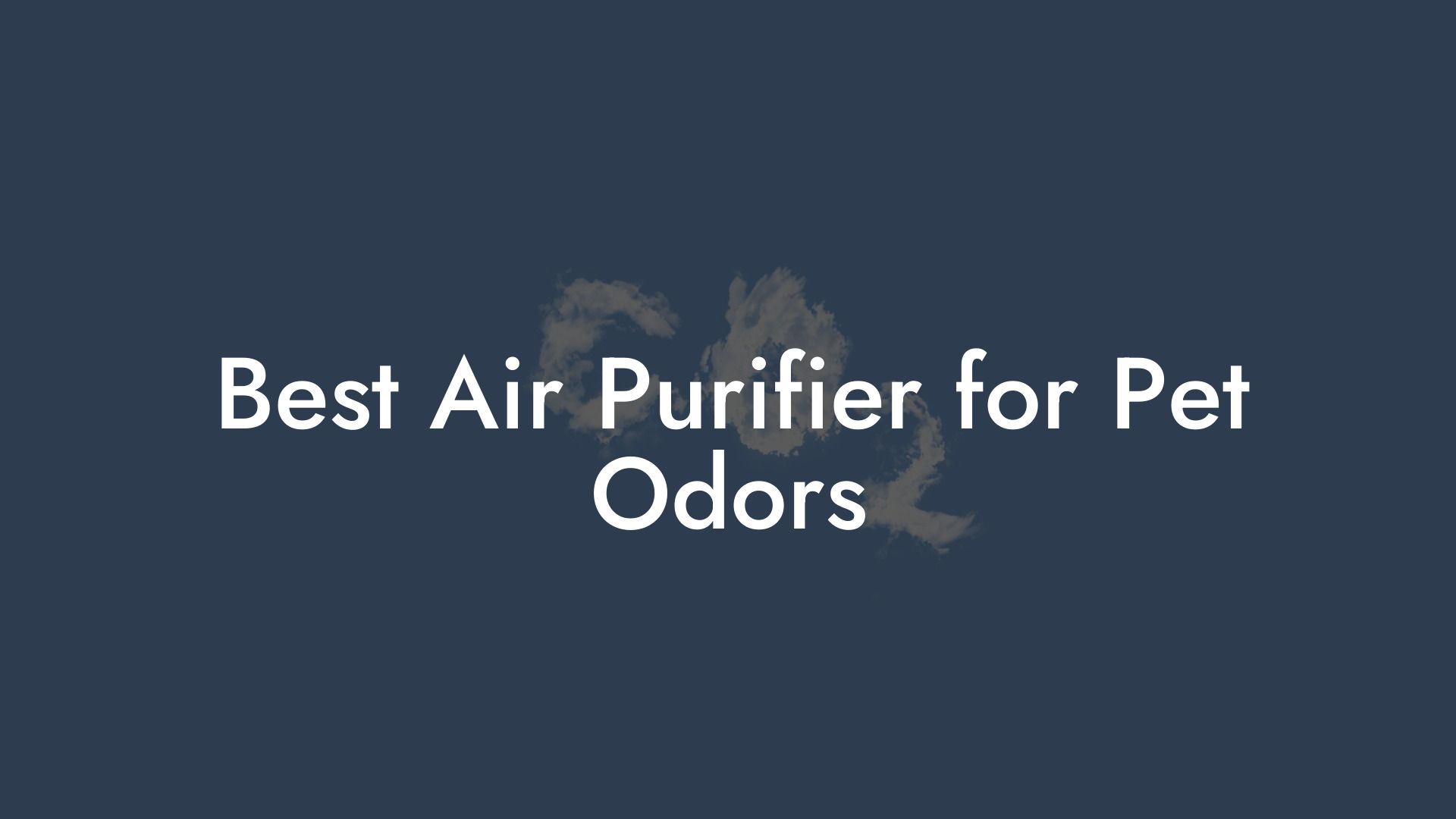 Best Air Purifier for Pet Odors