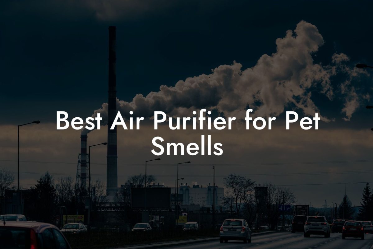 Best Air Purifier for Pet Smells