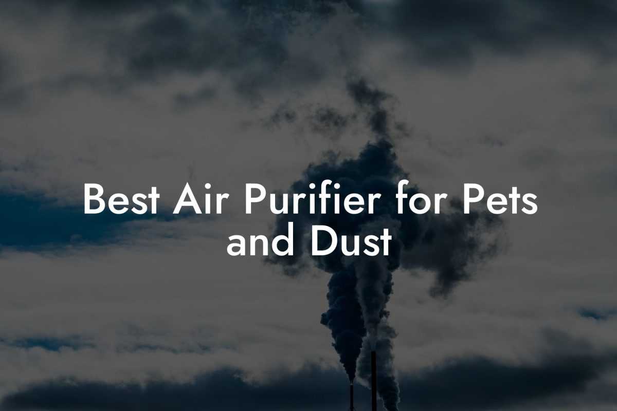 Best Air Purifier for Pets and Dust