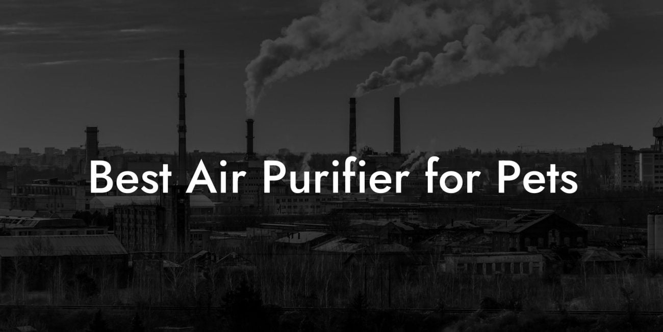 Best Air Purifier for Pets