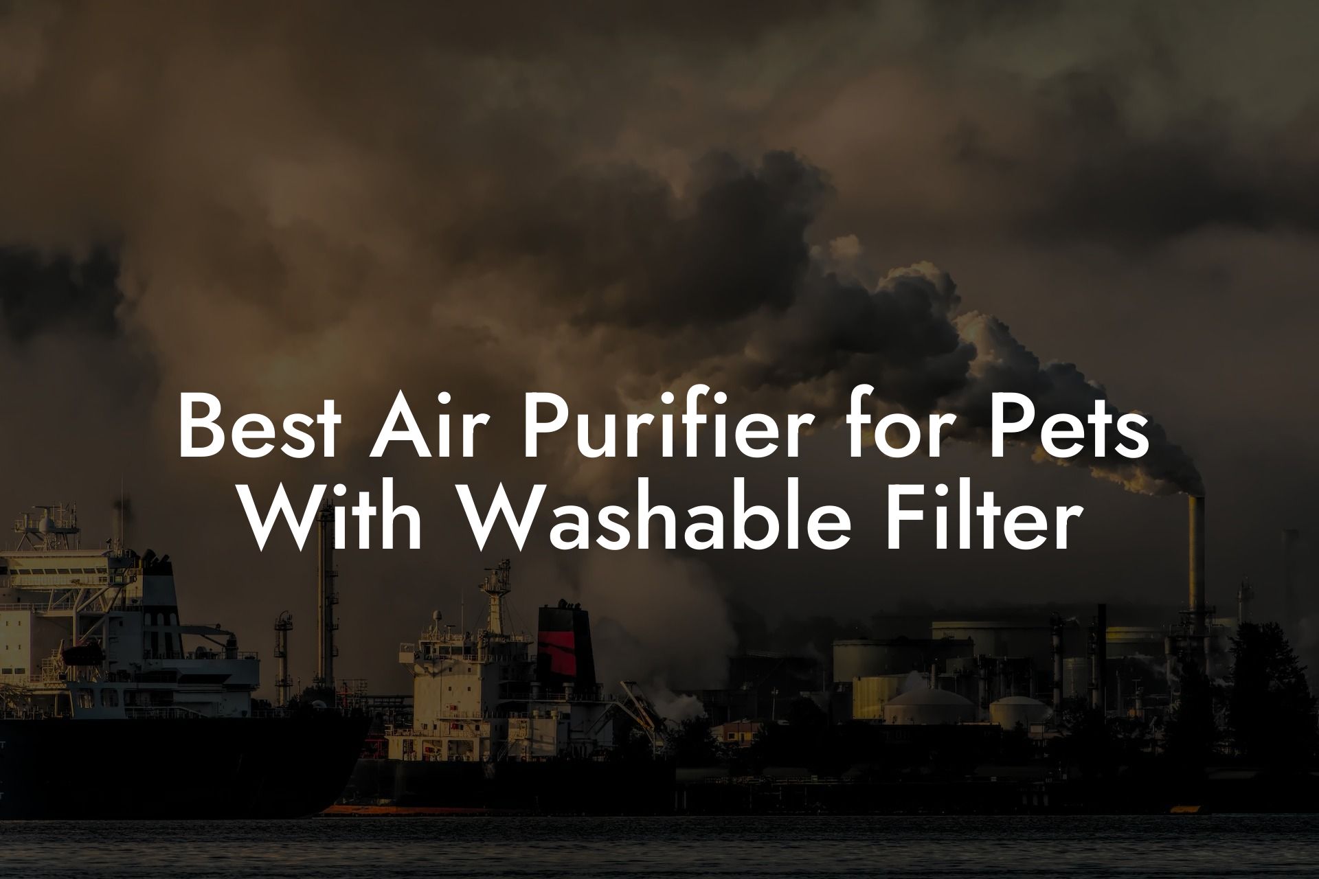 Best Air Purifier for Pets With Washable Filter