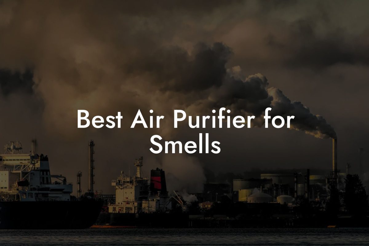 Best Air Purifier for Smells