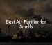 Best Air Purifier for Smells