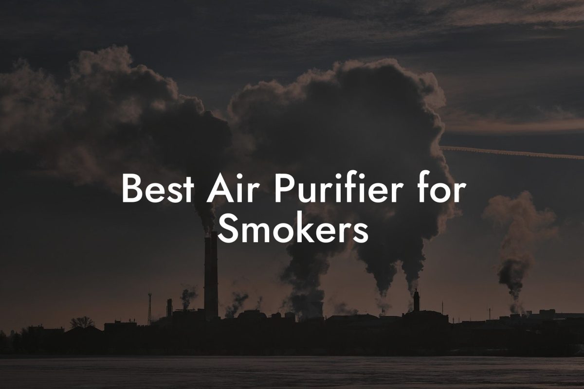 Best Air Purifier for Smokers