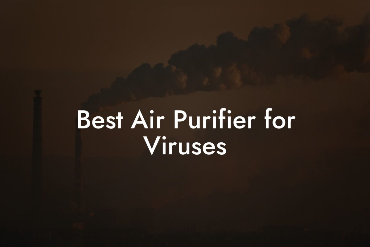 Best Air Purifier for Viruses