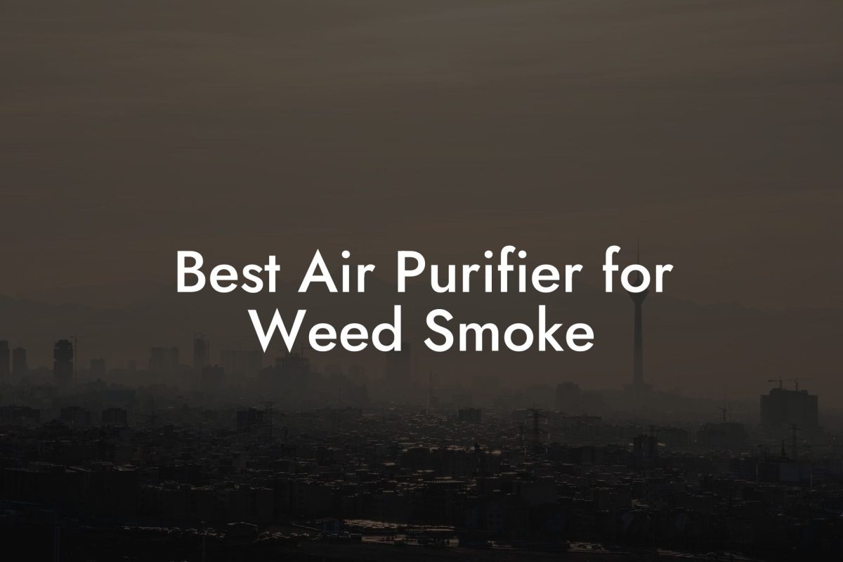 Best Air Purifier for Weed Smoke