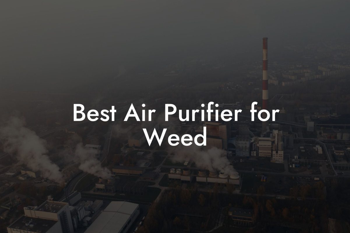 Best Air Purifier for Weed