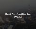 Best Air Purifier for Weed