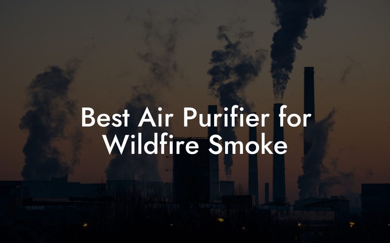 Best Air Purifier for Wildfire Smoke