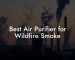 Best Air Purifier for Wildfire Smoke