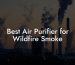 Best Air Purifier for Wildfire Smoke