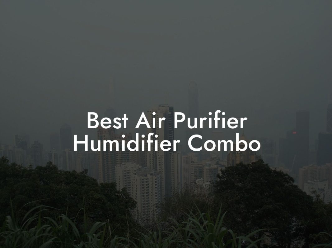 Best Air Purifier Humidifier Combo