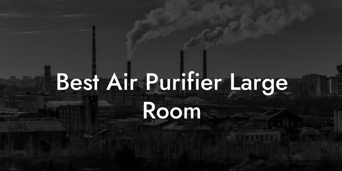 Best Air Purifier Large Room