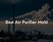 Best Air Purifier Mold