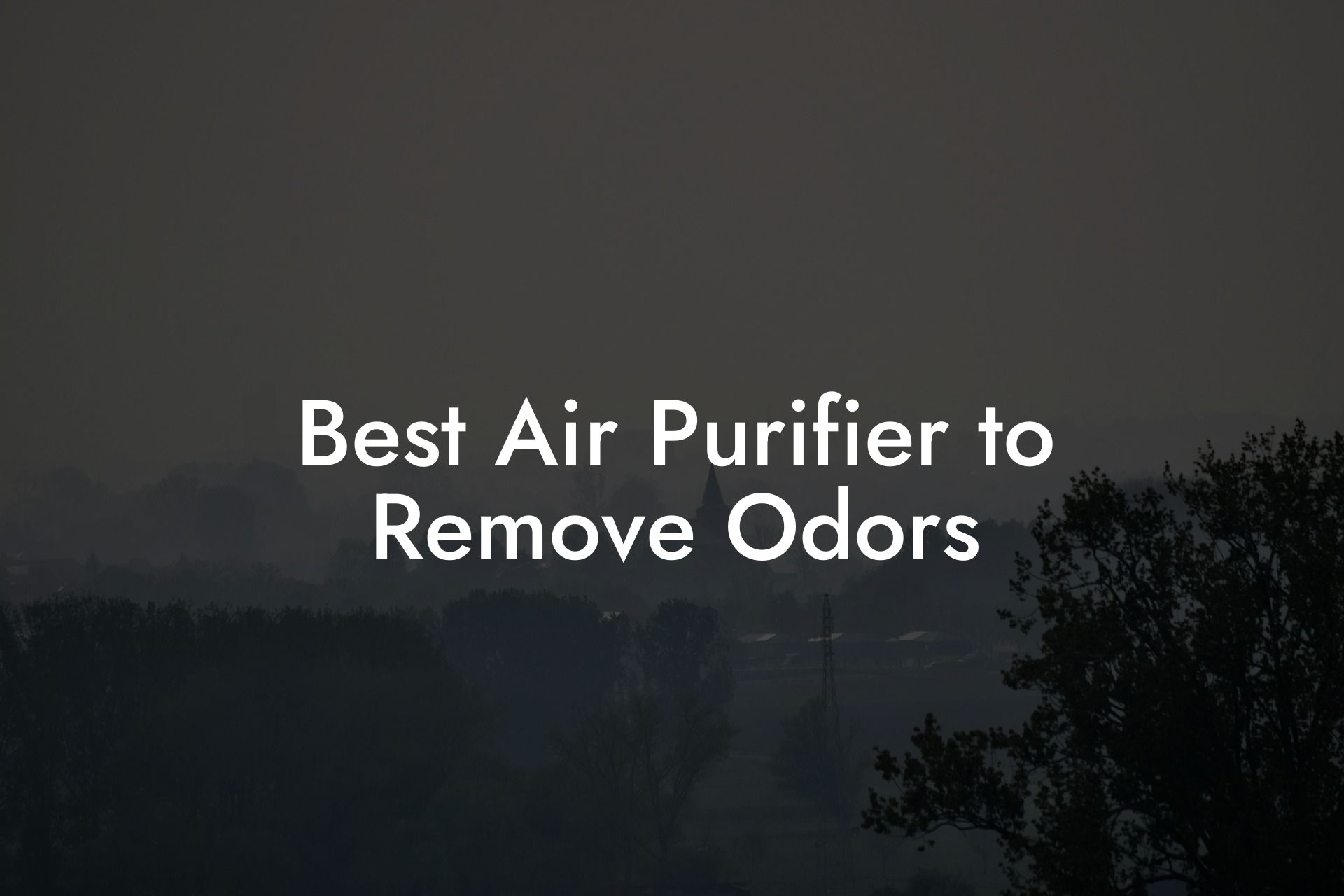 Best Air Purifier to Remove Odors