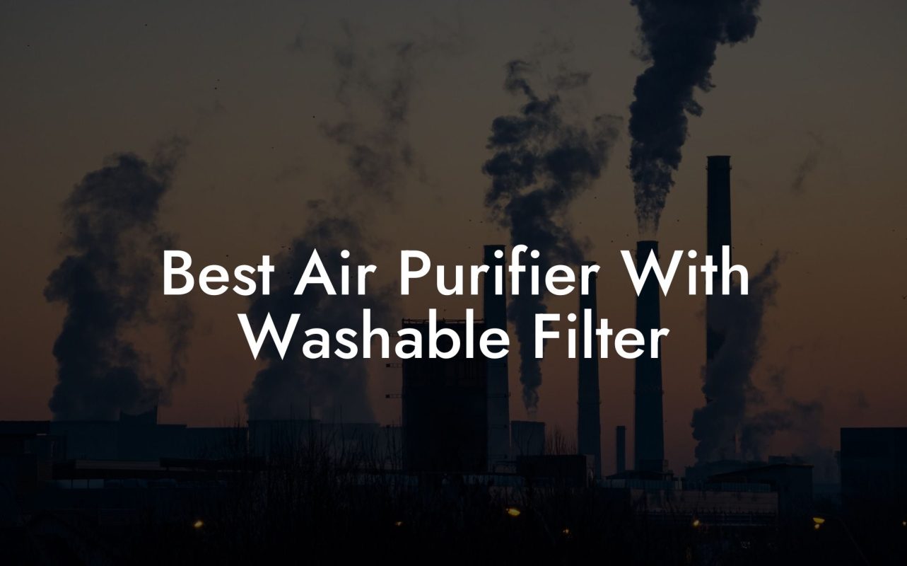 Best Air Purifier With Washable Filter