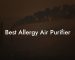 Best Allergy Air Purifier